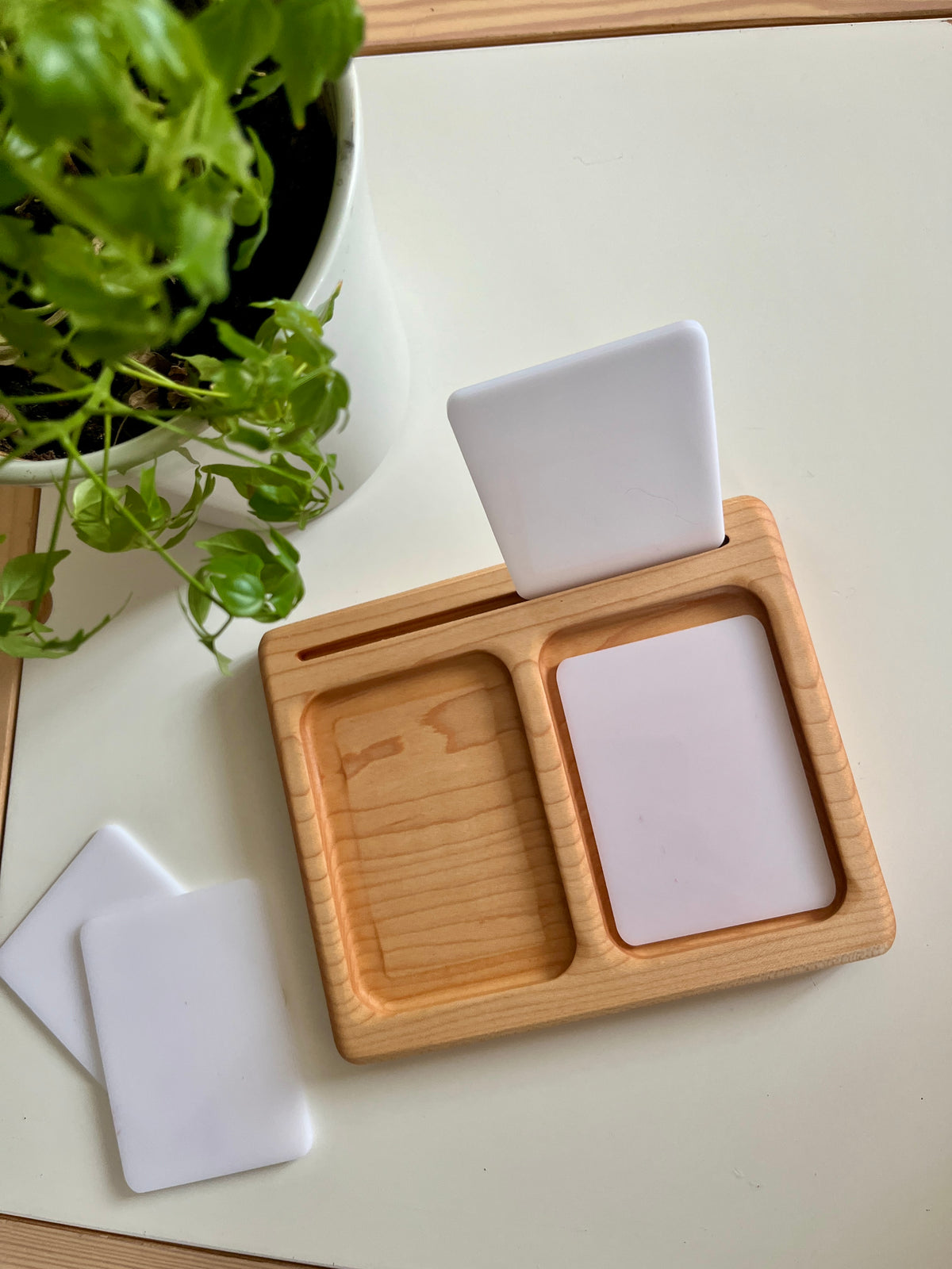 Light wooden card holder with white blank cards next to a green potted plant on white surface