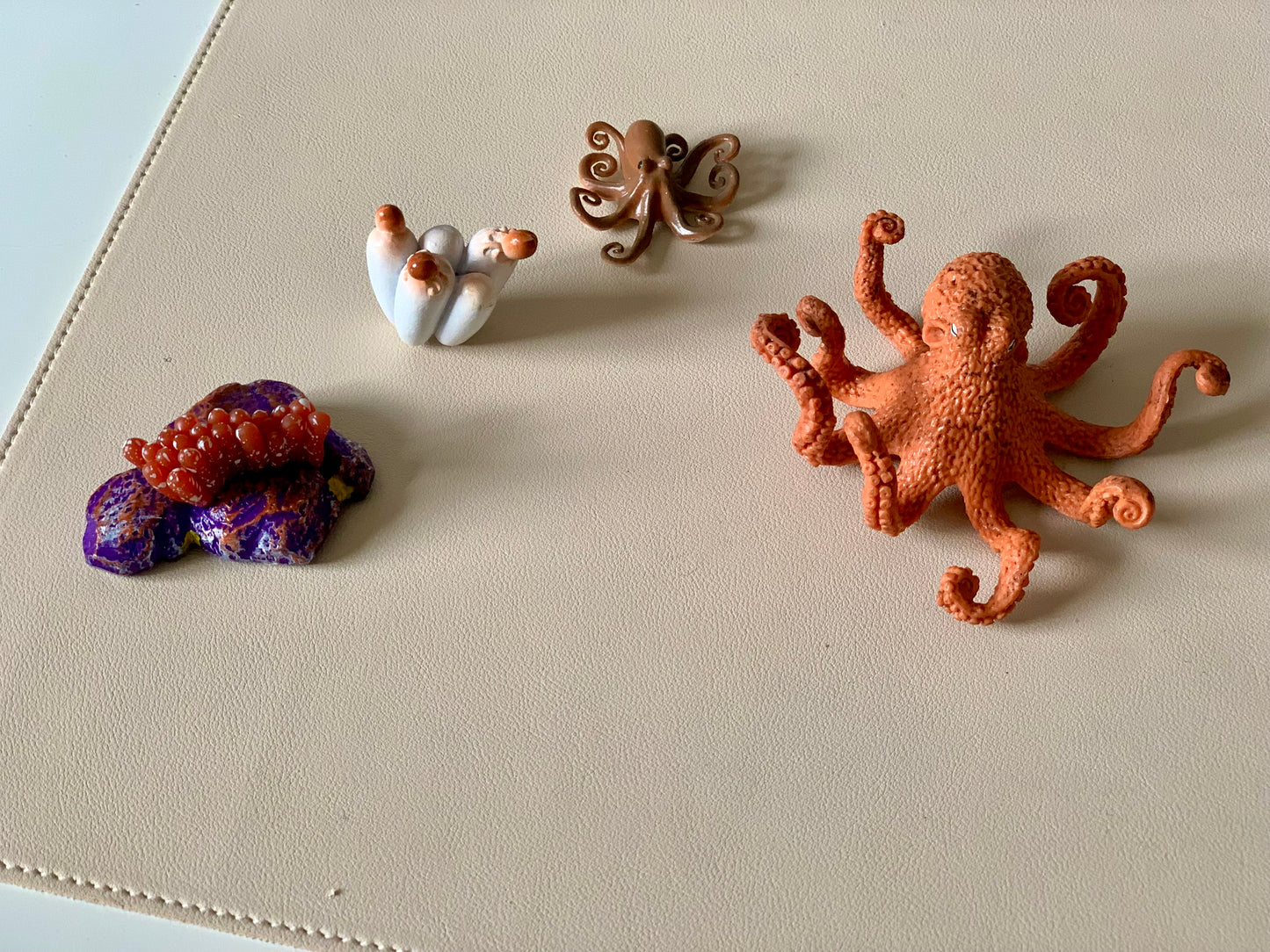 Octopus Life Cycle Figurines