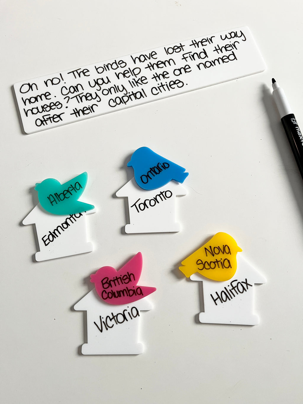 Little Dry Erasables - Birds & Houses displaying colorful bird-shaped pieces in teal, blue, pink, and yellow paired with white house shapes labeled with Canadian provinces and capitals, black dry-erase marker, handcrafted homeschool education resources.