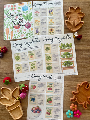 Spread of detailed printable spring gardening educational pages featuring illustrated vegetables, fruits, and flowers with handcrafted wooden trays and felt sensory fillers for Digital Download | Spring Gardening Complete Unit Study, handmade homeschool education resources.
