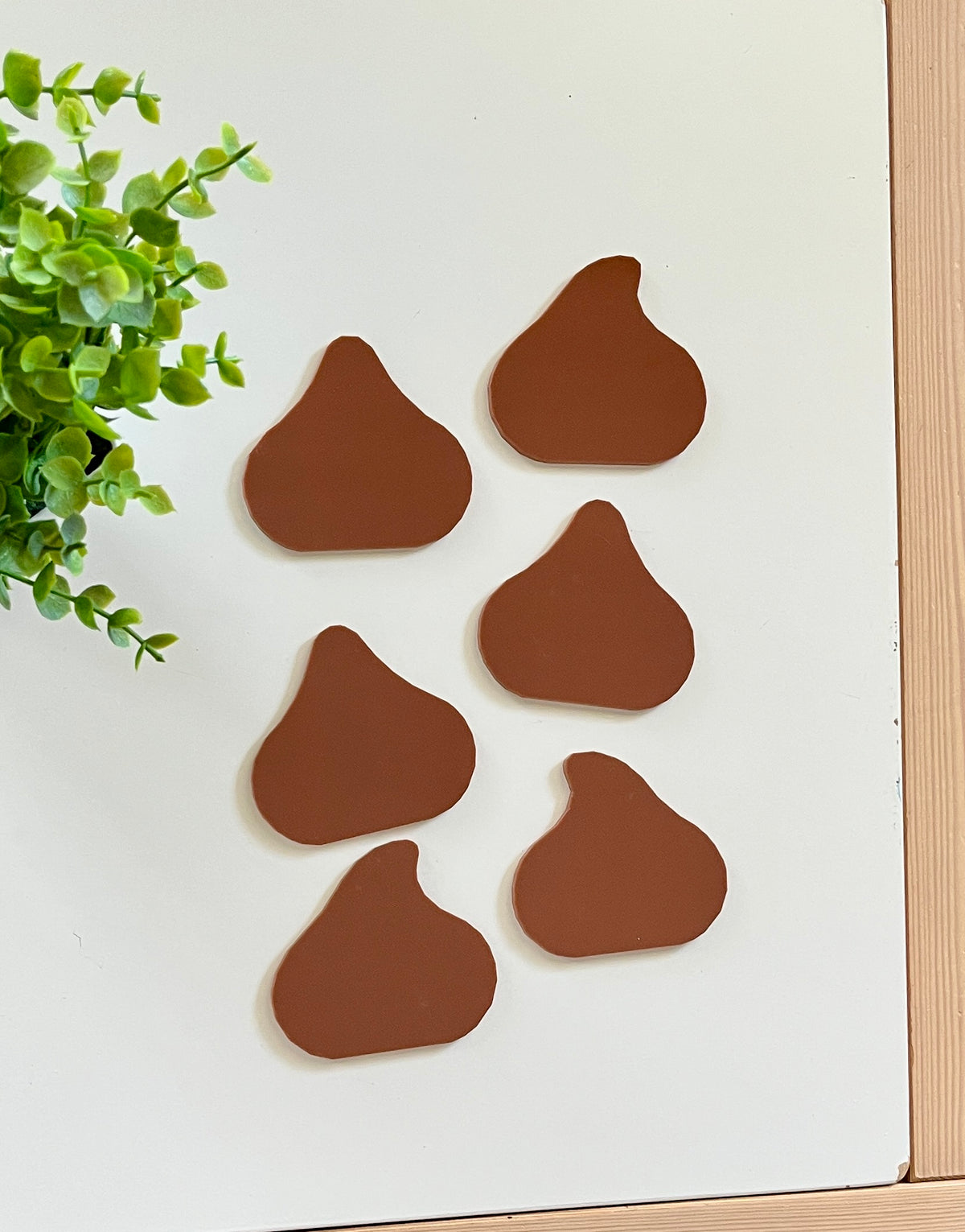 Six irregular abstract brown shapes arranged on a white surface with a small green leafy plant nearby