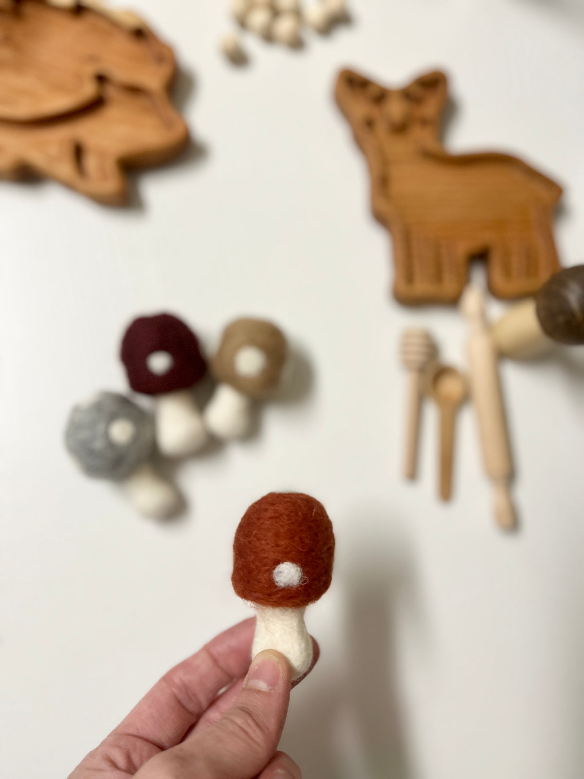 Autumn Toadstool Mushrooms Felt Toy Set of 4