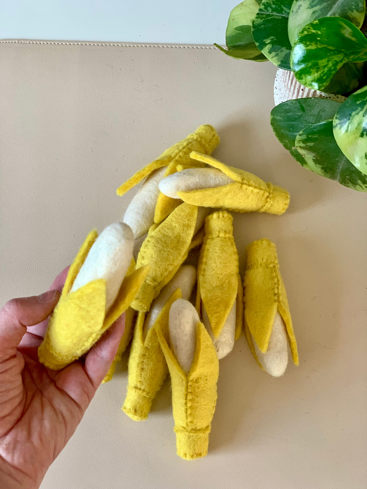 Hand holding small felted yellow and cream pods arranged on a beige surface next to green variegated plant leaves