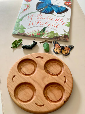 Round wooden tray with four circular sections and butterfly life cycle models plus a butterfly-themed book nearby