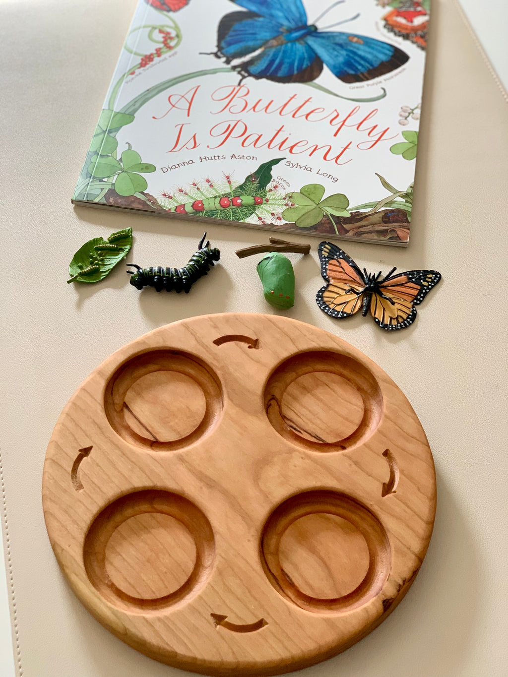 Round wooden tray with four circular sections and butterfly life cycle models plus a butterfly-themed book nearby