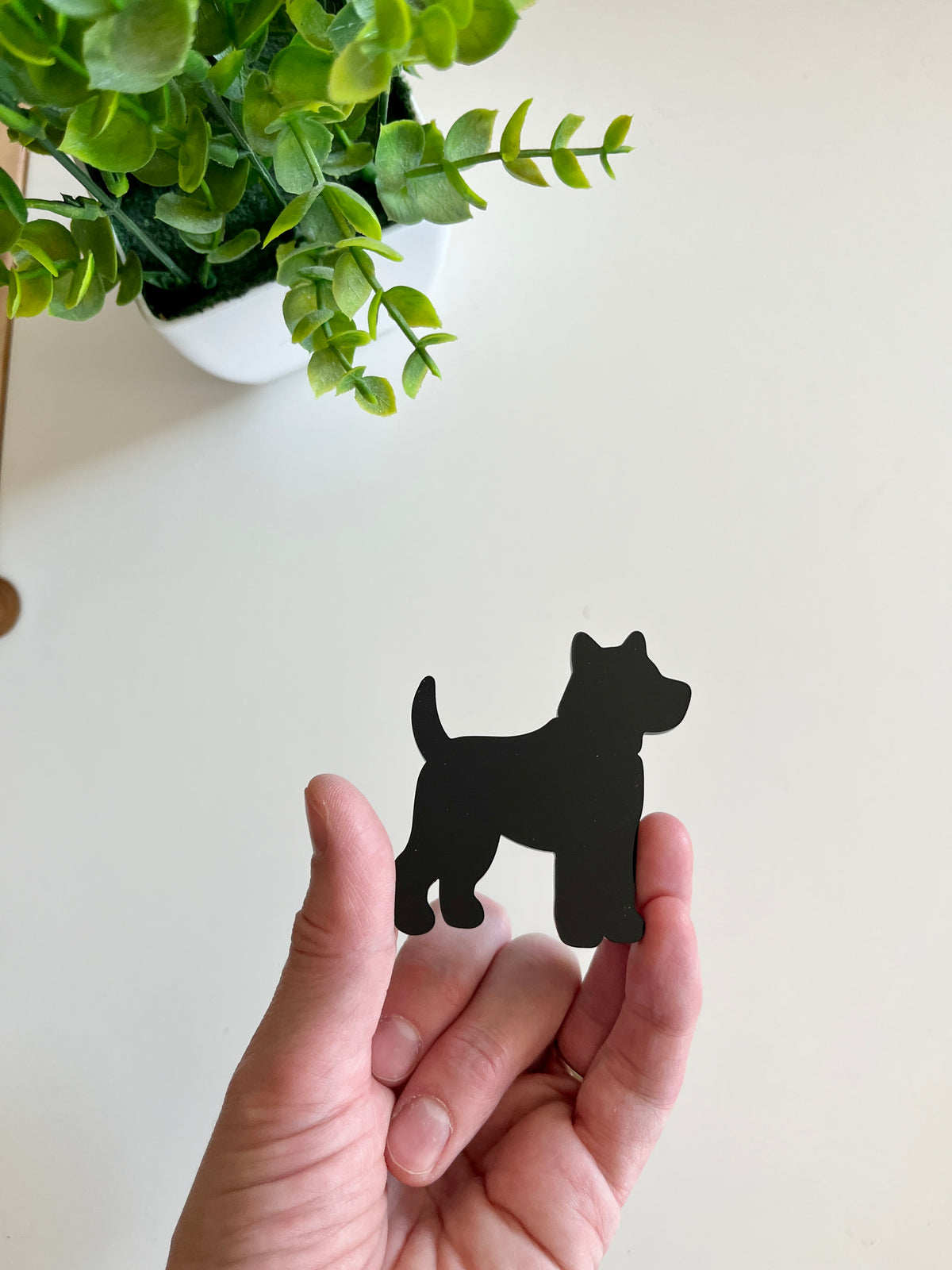 Hand holding a small black dog-shaped cutout with a green leafy plant in a white pot nearby