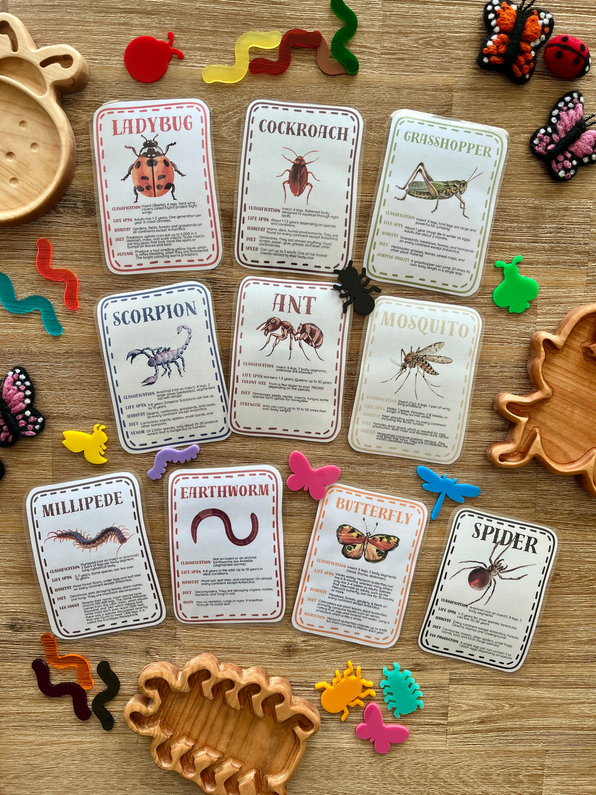 Array of illustrated insect and arachnid flash cards laid on a wooden surface with colorful plastic bug figurines and wooden trays, Digital Download | Little Crawlers Informational Flash Cards | handcrafted homeschool education resources