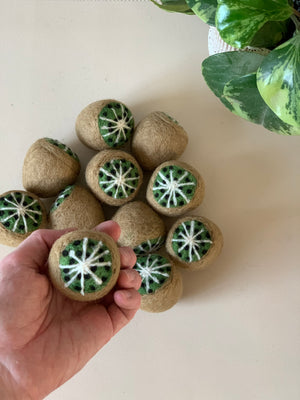 Felted wool balls designed to resemble kiwi fruit halves arranged on a light surface near green houseplant leaves