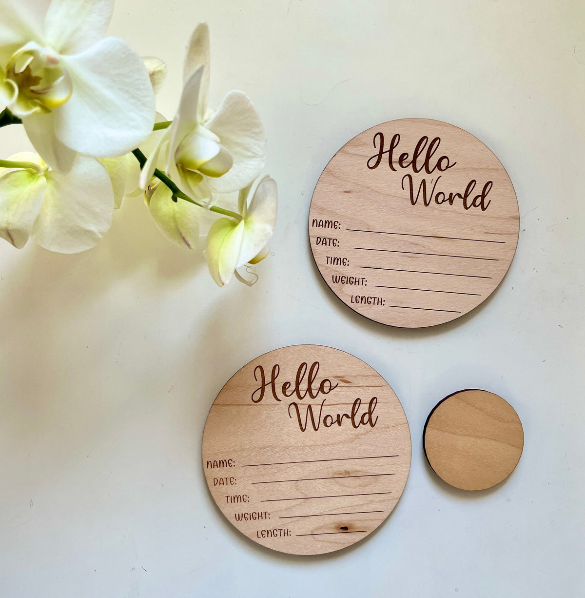 Two round wooden baby milestone plaques with "Hello World" and blank lines next to white orchid flowers on light background