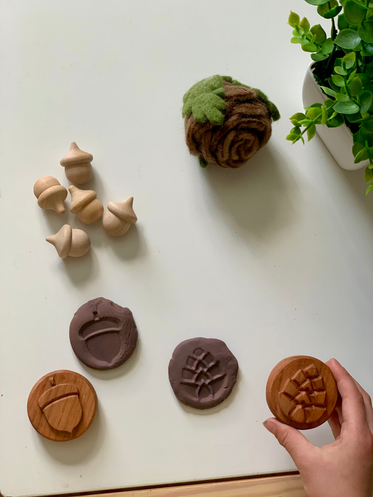 Wooden acorn figurines, carved wooden stamps with matching clay impressions, a felted brown and green pine cone, and a plant on white surface