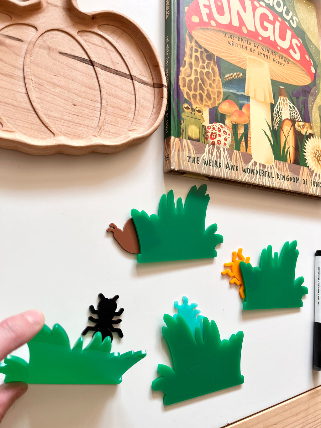 Little Dry Erasables - Tall Grass