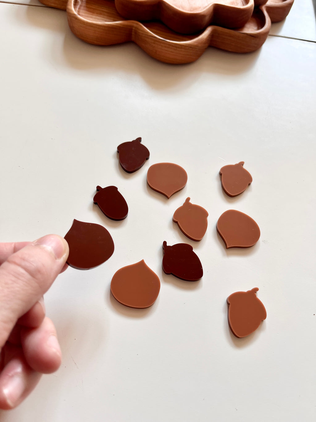 Little Dry Erasables -  Mini Acorns and Walnuts