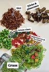 Maple Leaf Forest Fun Filler Sensory Kit