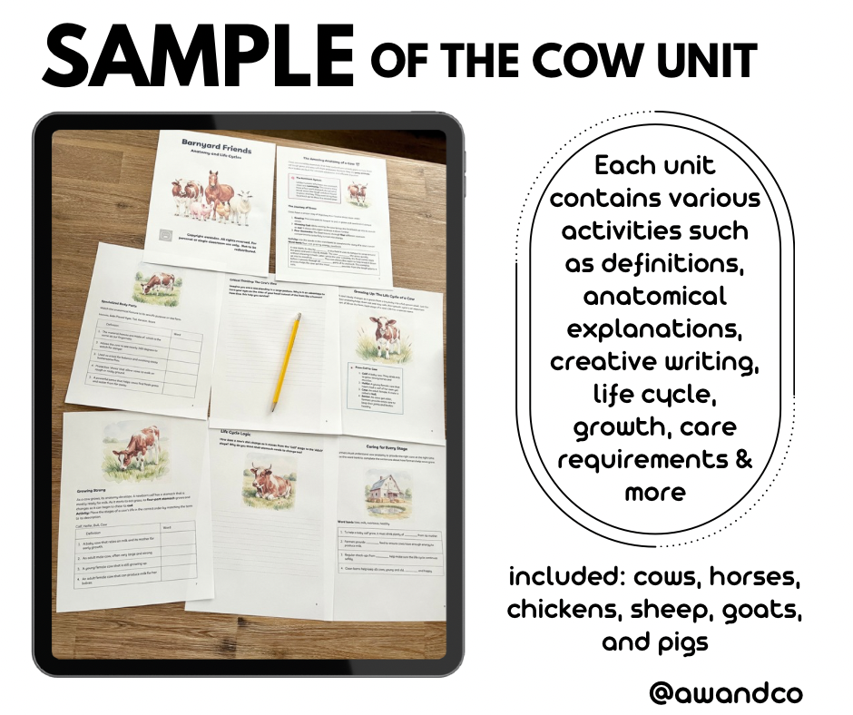 Digital Download | Farm Animals: Anatomy & Life Cycles Unit Study featuring printable educational pages on cow anatomy, life cycle, and care instructions arranged on a wood surface with a yellow pencil, handcrafted homeschool education resources.