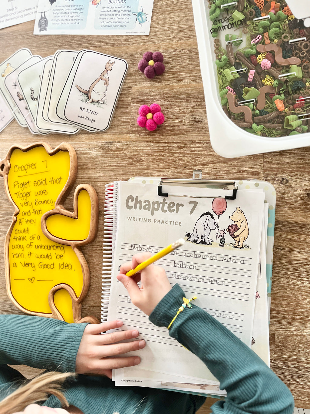 Digital Download or Print & Bound - The House at Pooh Corner Book Study
