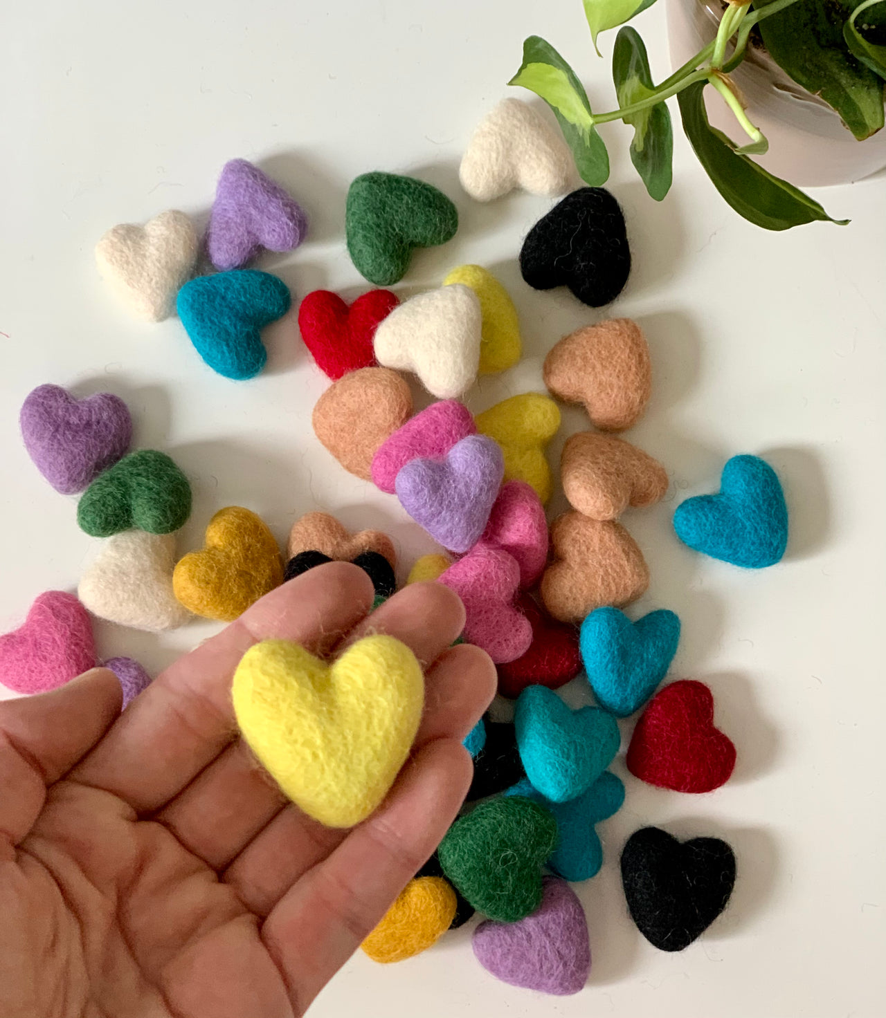 Hand holding small yellow felt heart with various colorful felt hearts scattered on white surface with green plant corner
