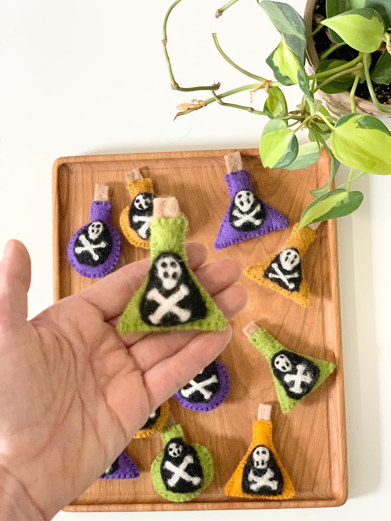 Hand holding green felt potion bottle with skull and crossbones on wooden tray with more bottles and plant nearby