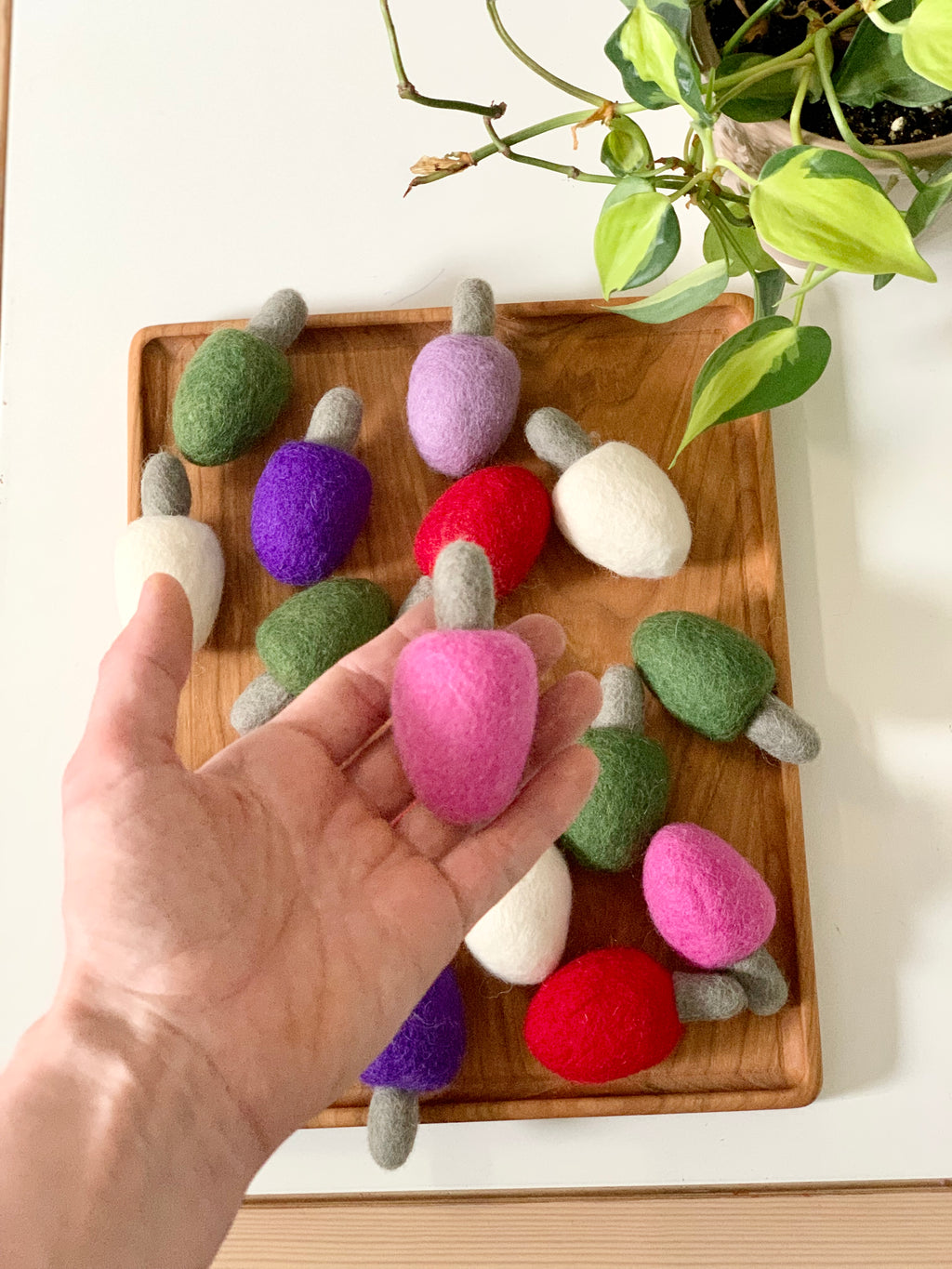 Hand holding one pink felt lightbulb with multiple felt lightbulbs in various colors on wooden tray beside green plant on white surface