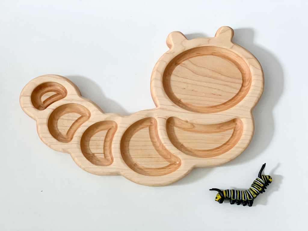 Wooden caterpillar-shaped sensory tray with segmented compartments and small colorful caterpillar toy on white background