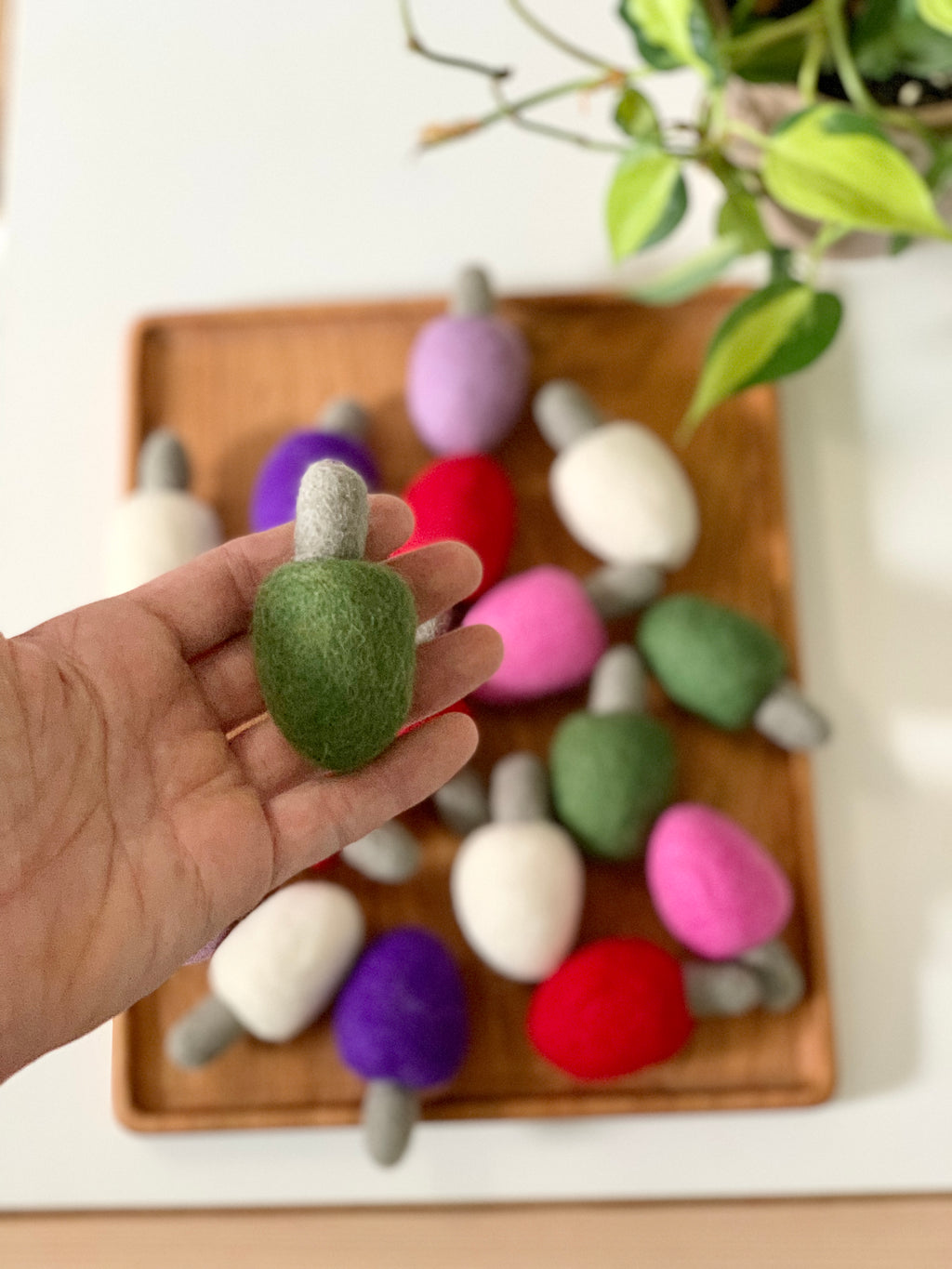 Hand holding single green felt lightbulb with tray of colorful felt lightbulbs on wooden tray below and plant nearby