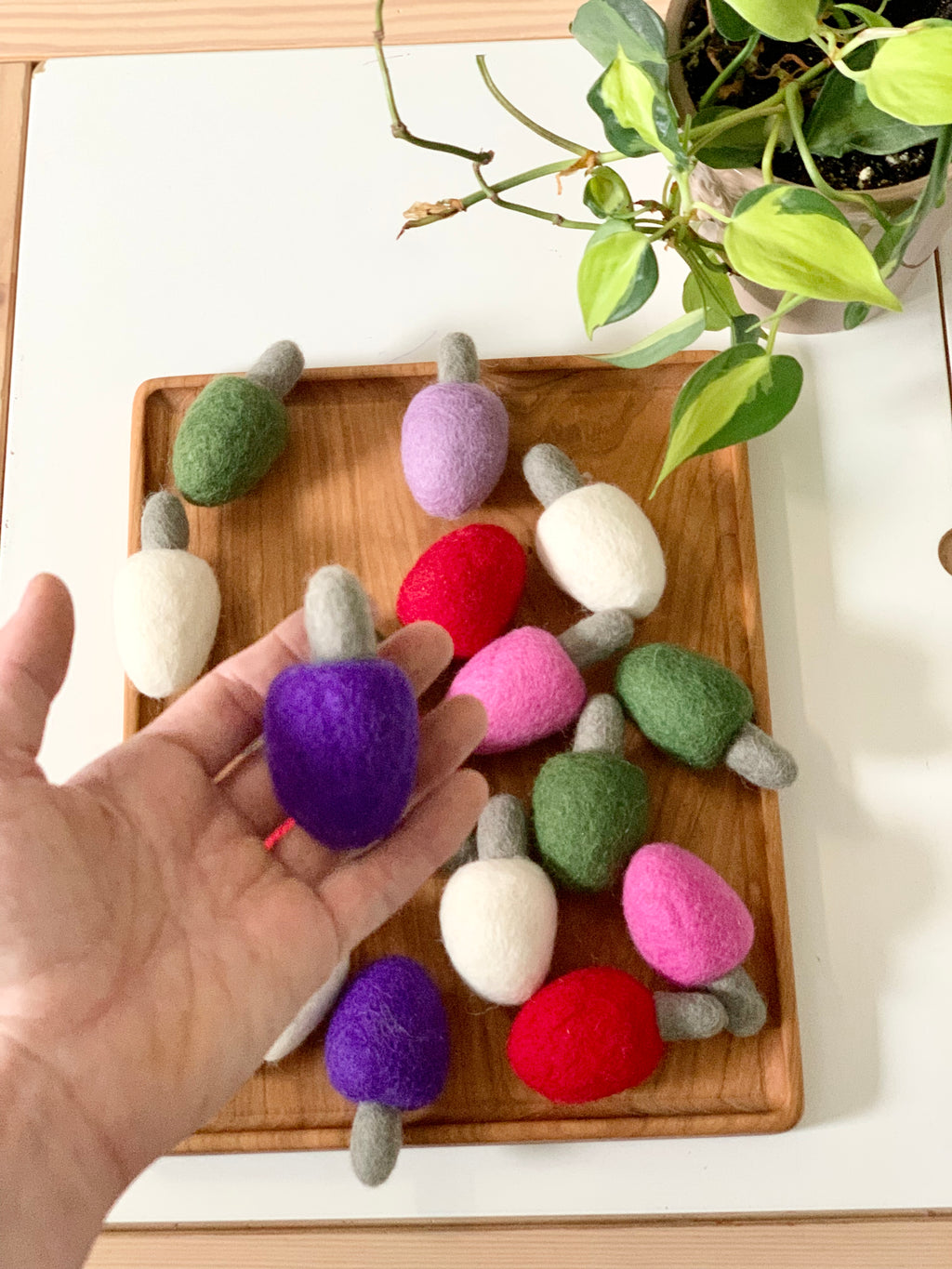 Hand holding a purple felt lightbulb with other colorful felt lightbulbs on wooden tray beside green plant on white table