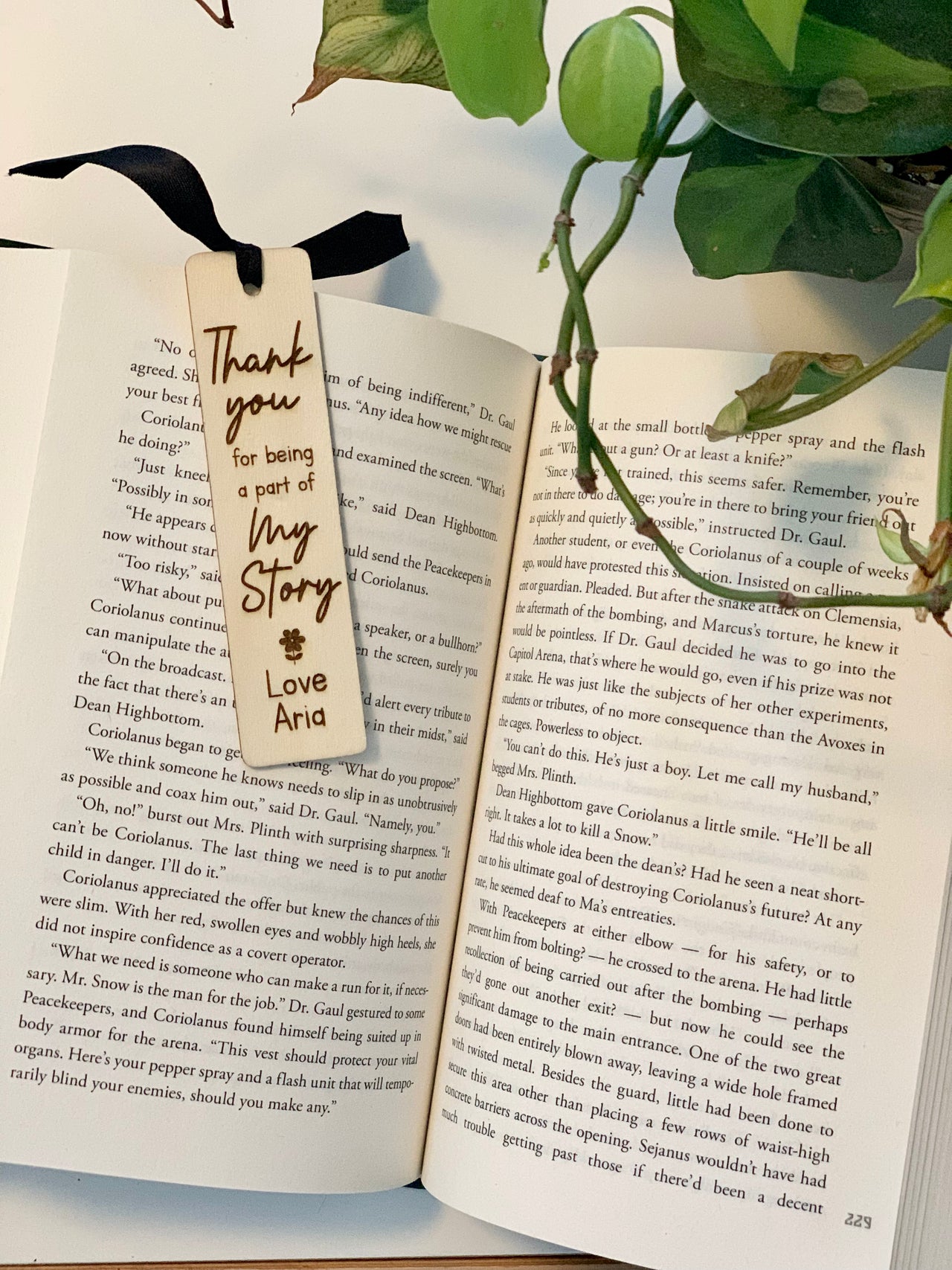 Wooden personalized bookmark with black ribbon hanging over open book pages next to green houseplant leaves