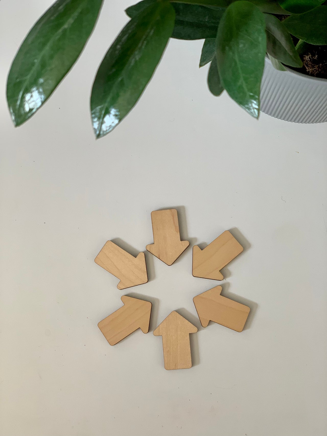 Set of seven laser-cut wooden arrow shapes arranged in a circle on white surface with green plant nearby