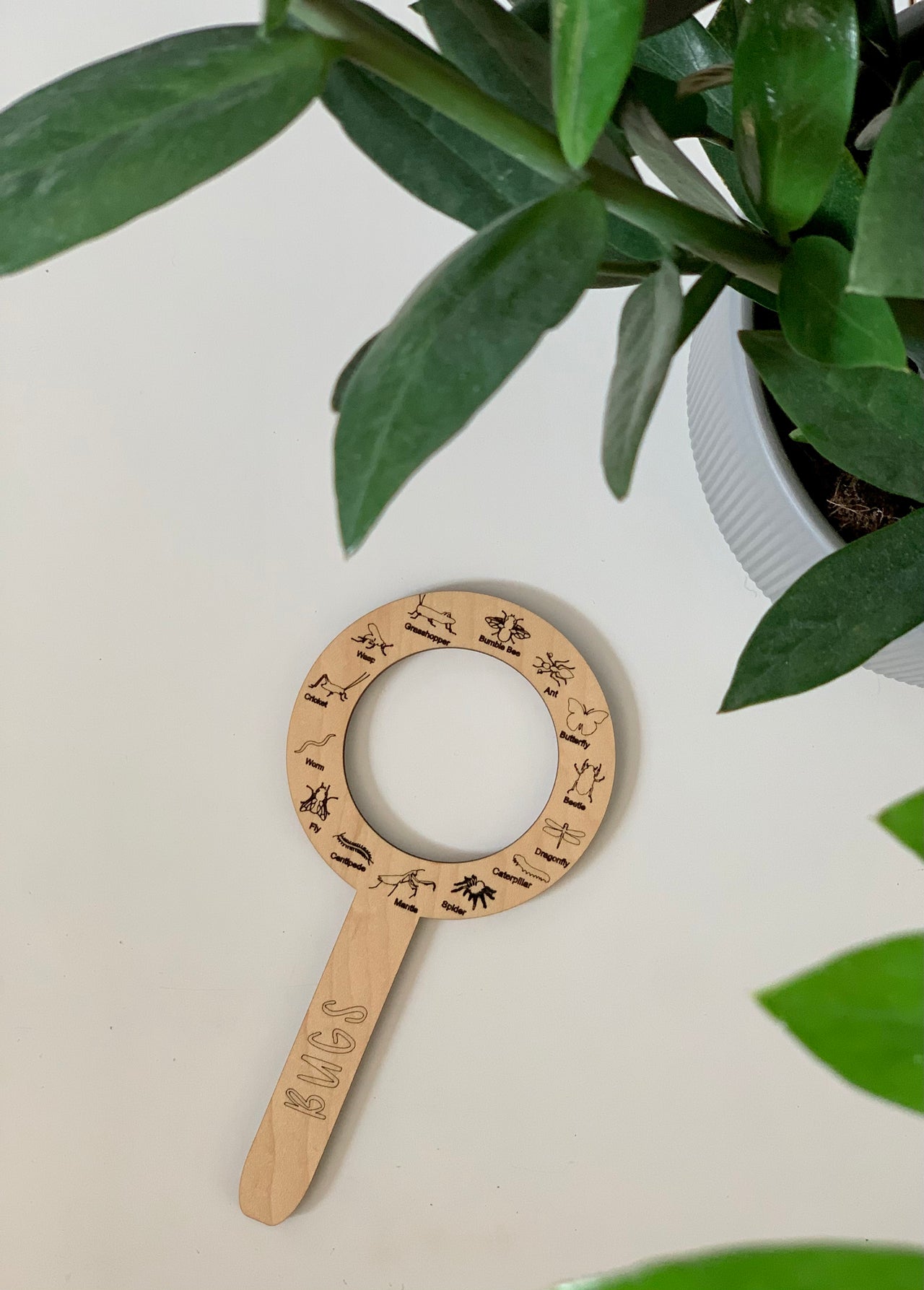 Laser cut maple plywood bug finder with engraved insect illustrations and BUGS text on handle beside green plant leaves