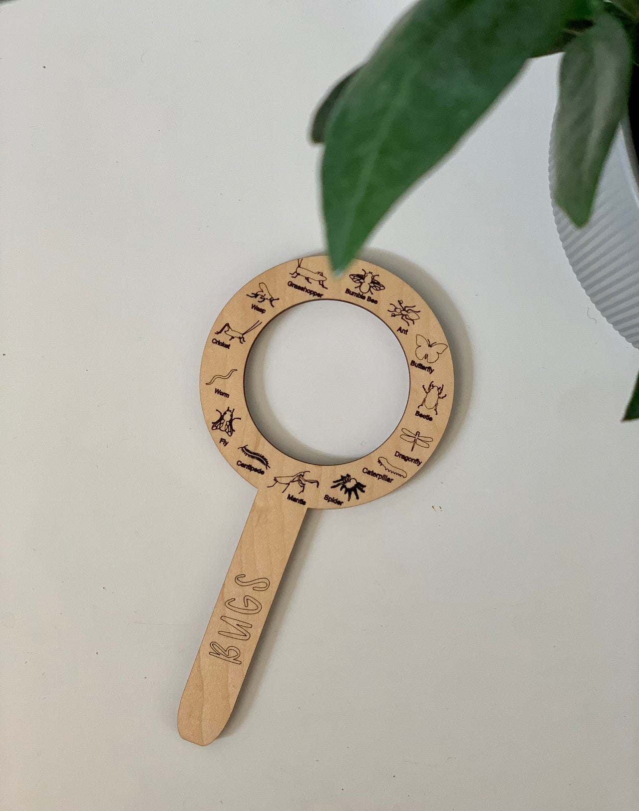 Laser cut wooden bug finder with engraved insect illustrations and handle, natural maple plywood on white surface next to plant leaf