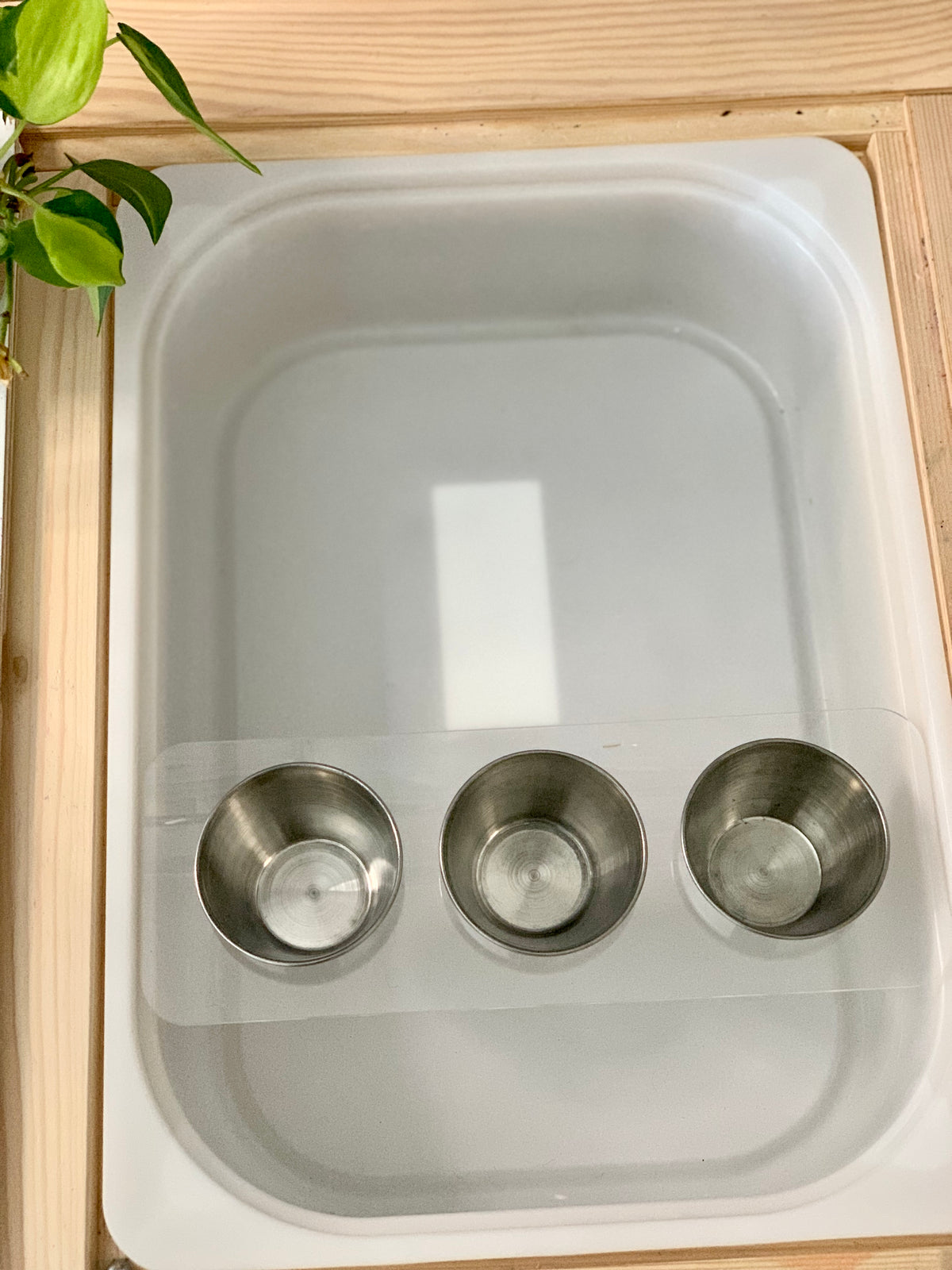 Maple plywood Flisat table top insert with three metal cups set inside natural wood frame and plant on side