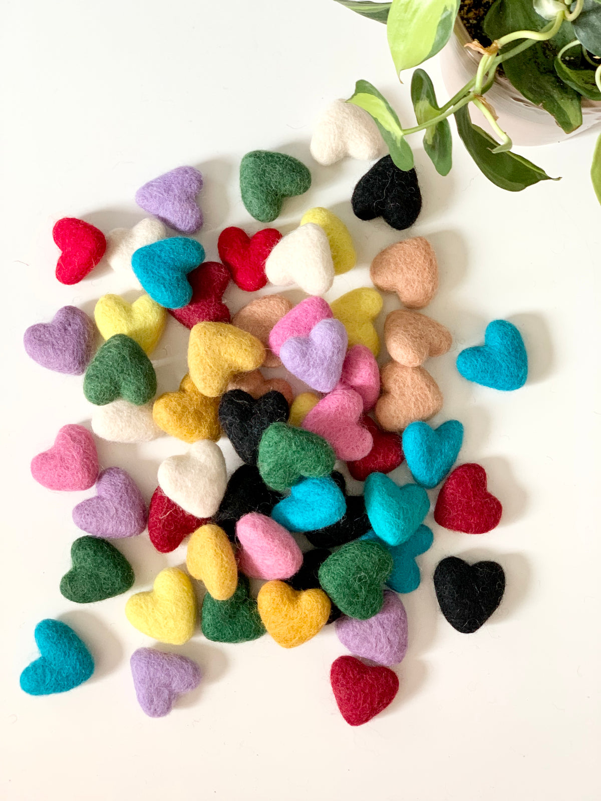 Assorted small handmade felt hearts in various colors scattered on white surface with green plant nearby