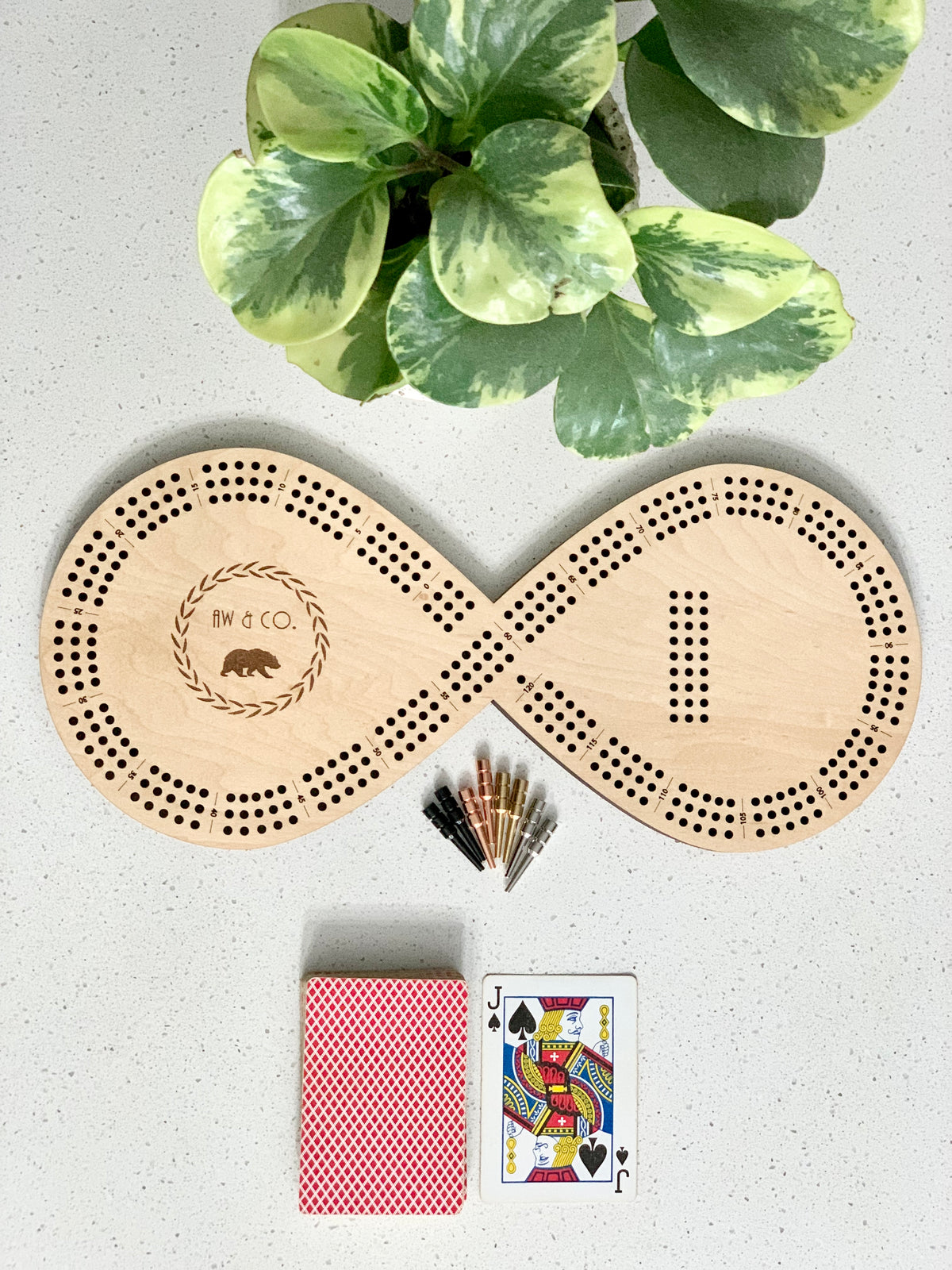 Wooden infinity-shaped crib board with 8 pegs, deck of cards, jack of spades card, and green variegated plant on white surface