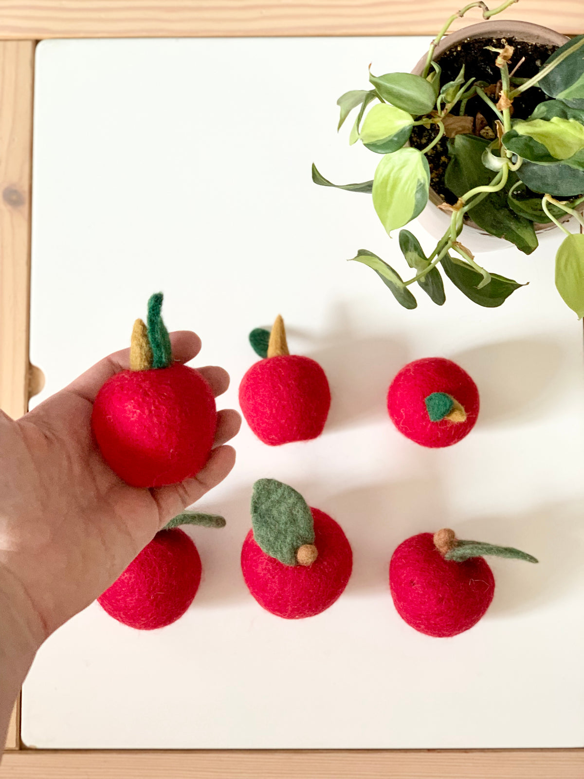 Hand holding one medium red felt apple with green leaf and stem among five similar apples on white surface with plant nearby