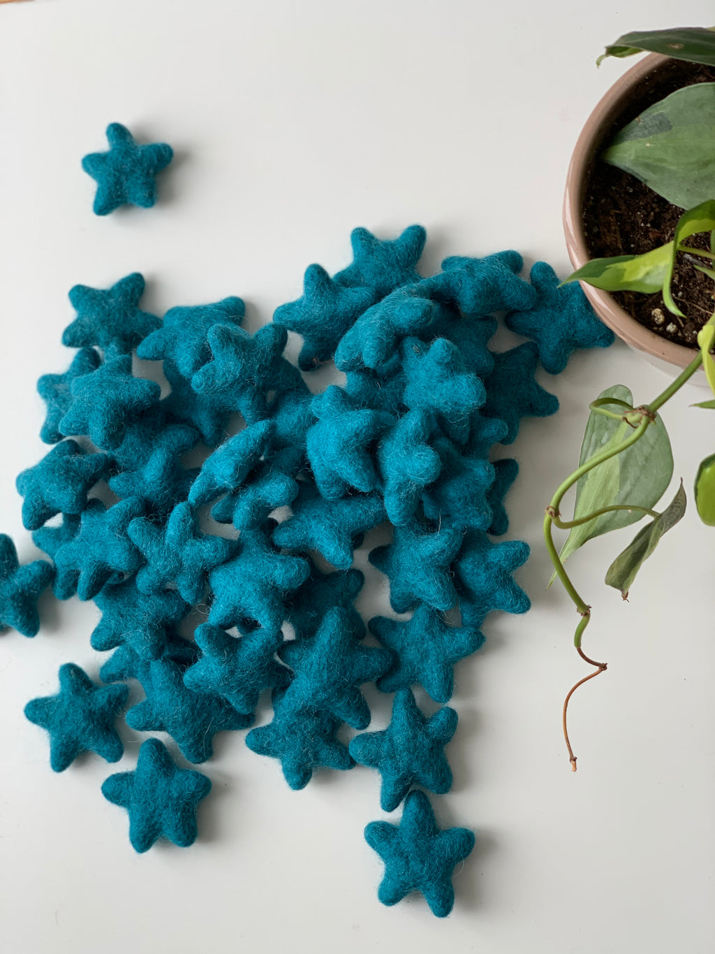 Small handmade teal felt stars scattered near green potted plant on white surface