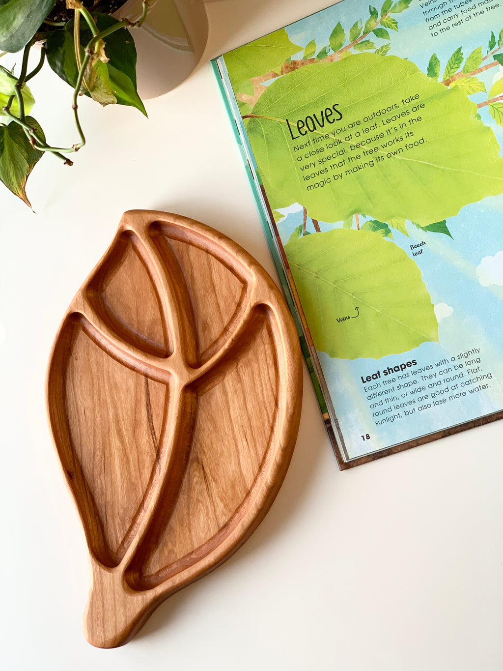 Leaf-shaped wooden tinker sensory tray beside an open book with leaf illustrations on white surface