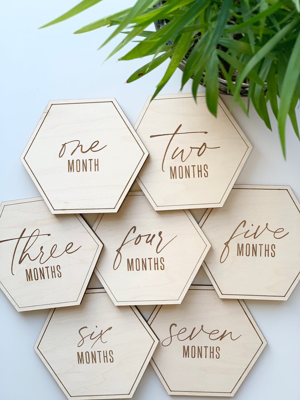 Set of natural wood hexagon milestone markers engraved with one to seven months text on white background with green plant leaves above