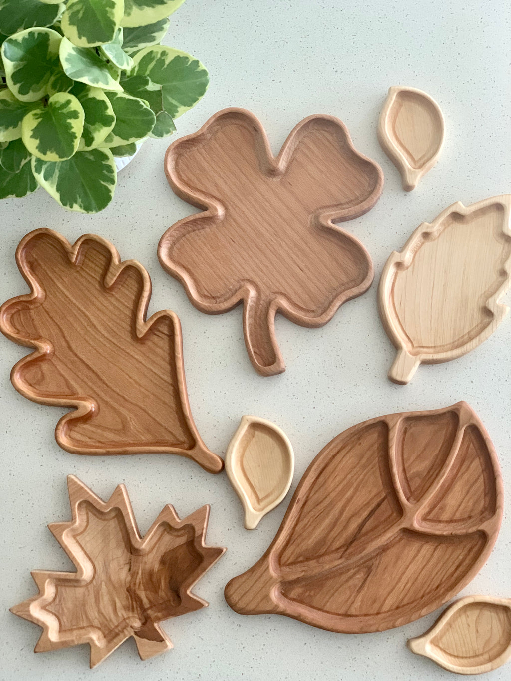 Collection of wooden oak leaf sensory trays and small leaf plates on light surface with green plant nearby