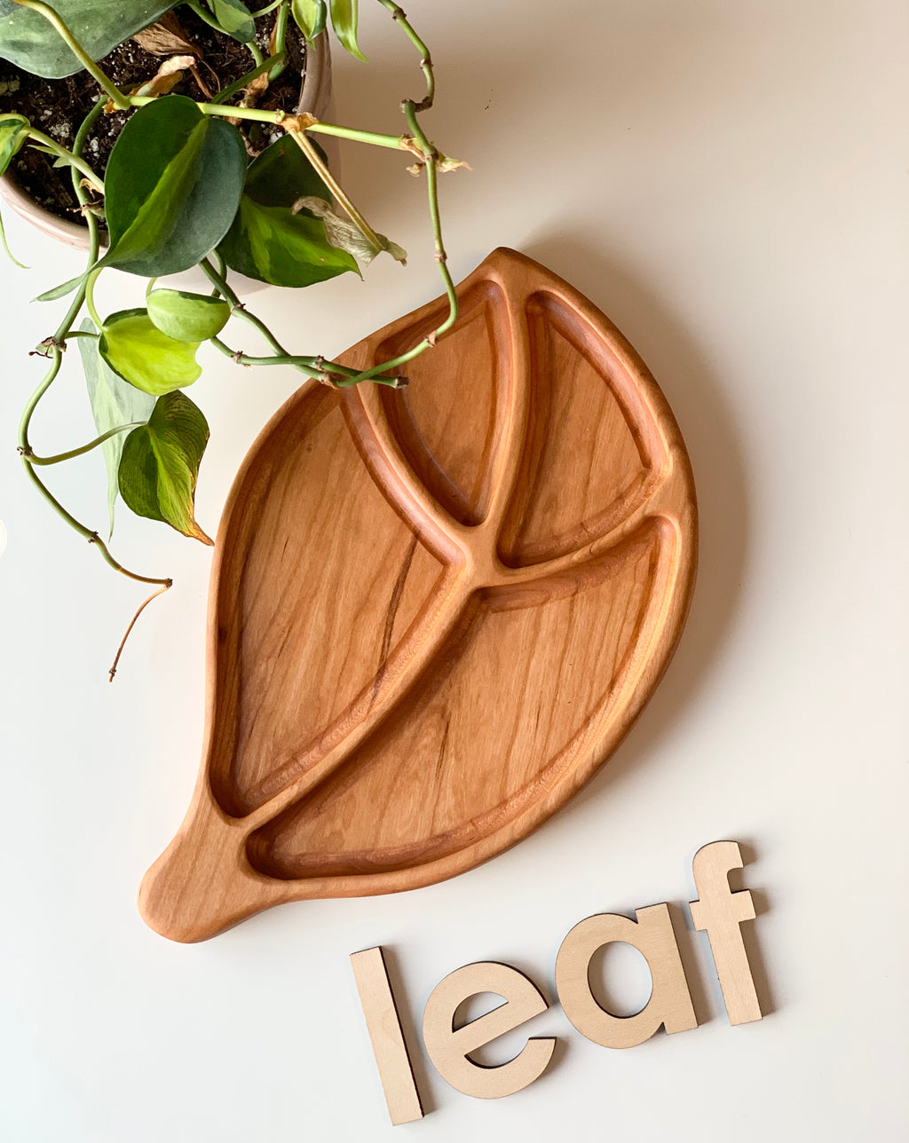 Leaf-shaped wooden sensory tray with carved veins and natural wood grain on white surface with green plant nearby