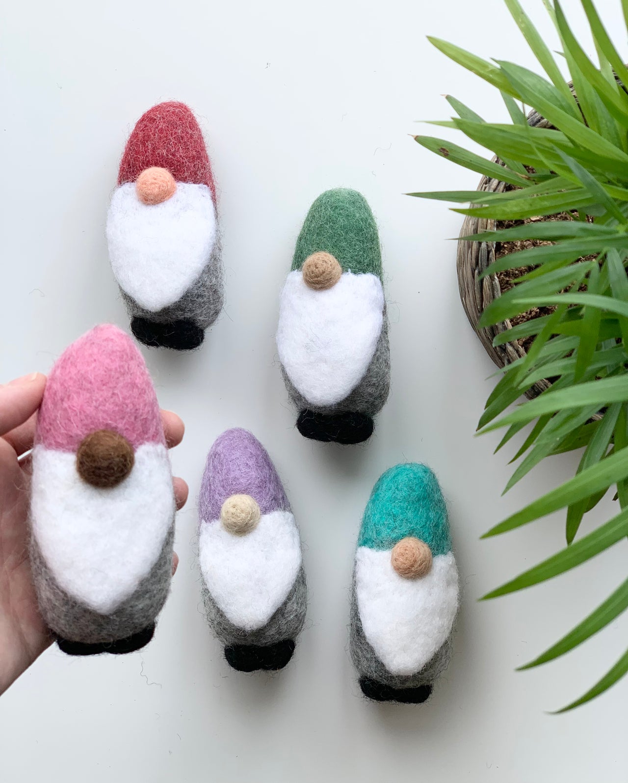 Five handmade felt gnomes with colorful hats in pink, red, green, purple, and teal arranged on white surface near green plant