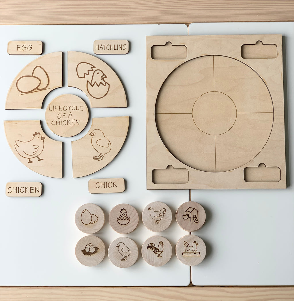Wooden life cycle of a chicken puzzle with labeled pieces and matching memory game discs on white surface