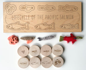Wooden life cycle of the Pacific salmon educational game board with felt and wooden salmon stage pieces on white background