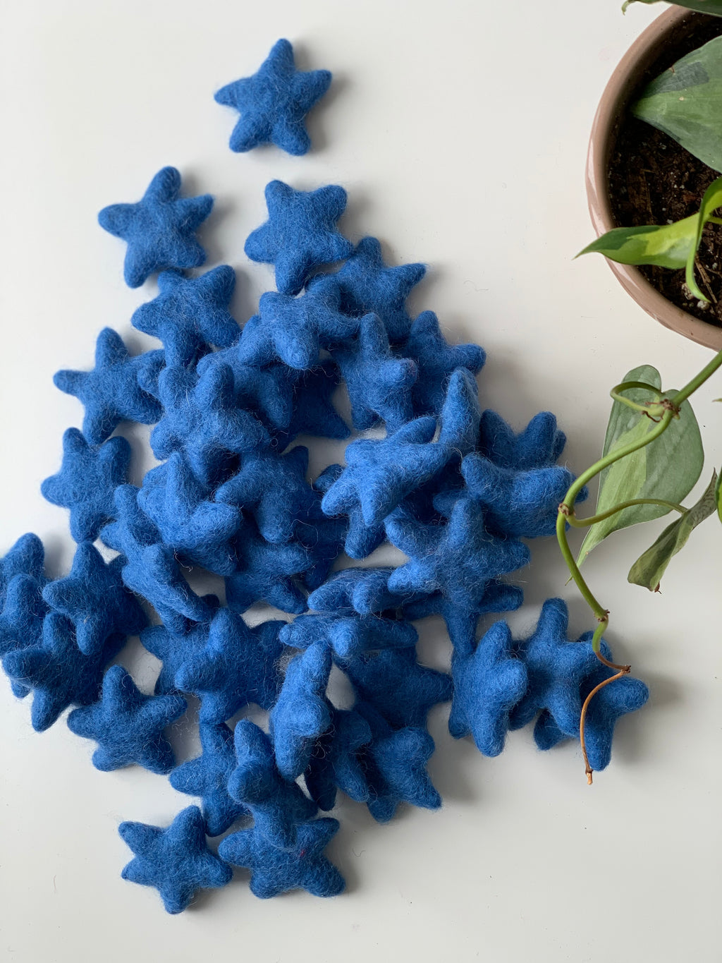Small handmade blue felt stars scattered on white surface next to a potted green plant with trailing vine