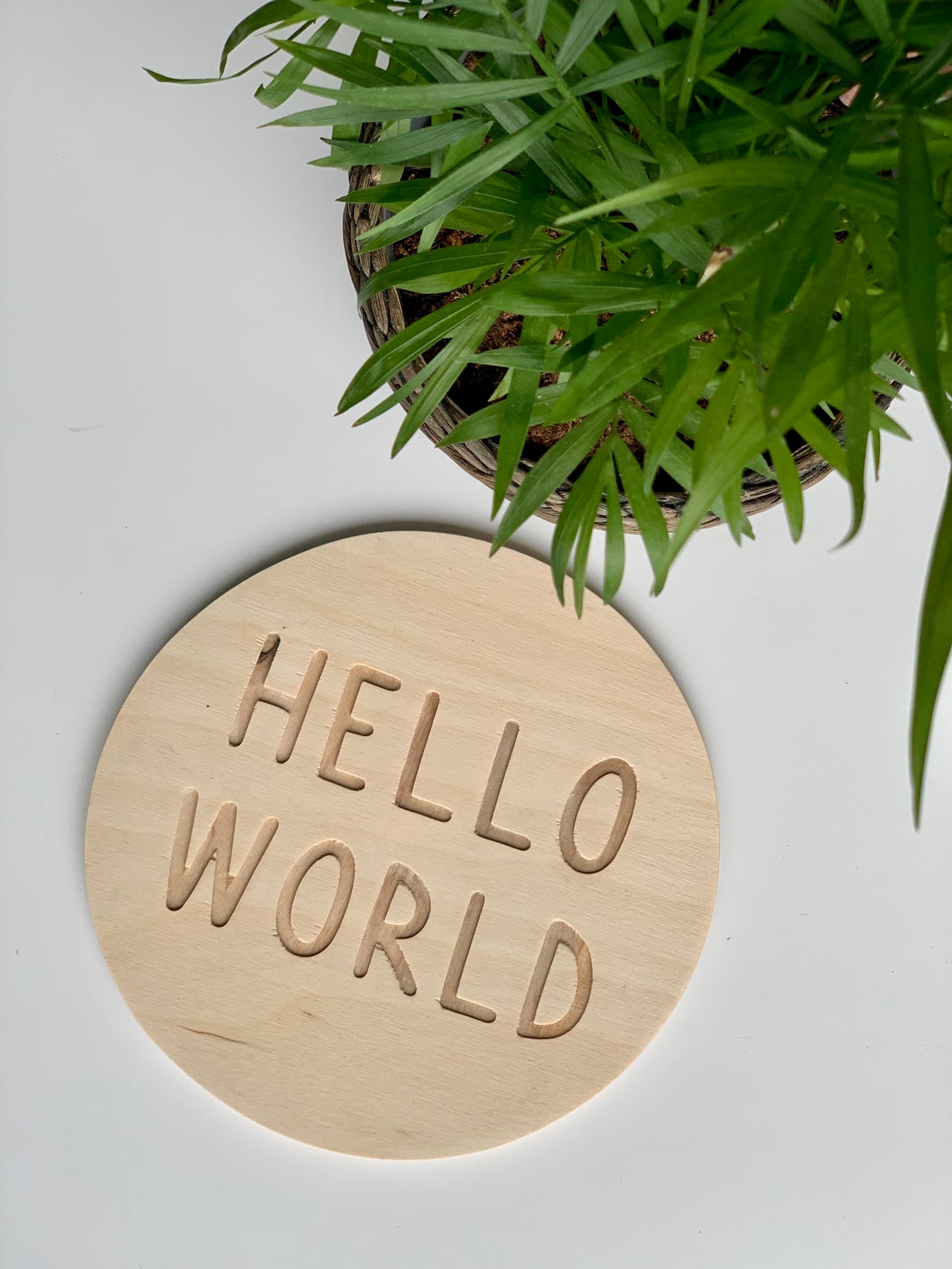 Round natural wooden disc with carved HELLO WORLD text beside green leafy plant on white surface