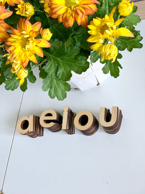 Natural wooden lowercase alphabet letters spelling vowels a e i o u stacked on white surface near green and yellow flower pot