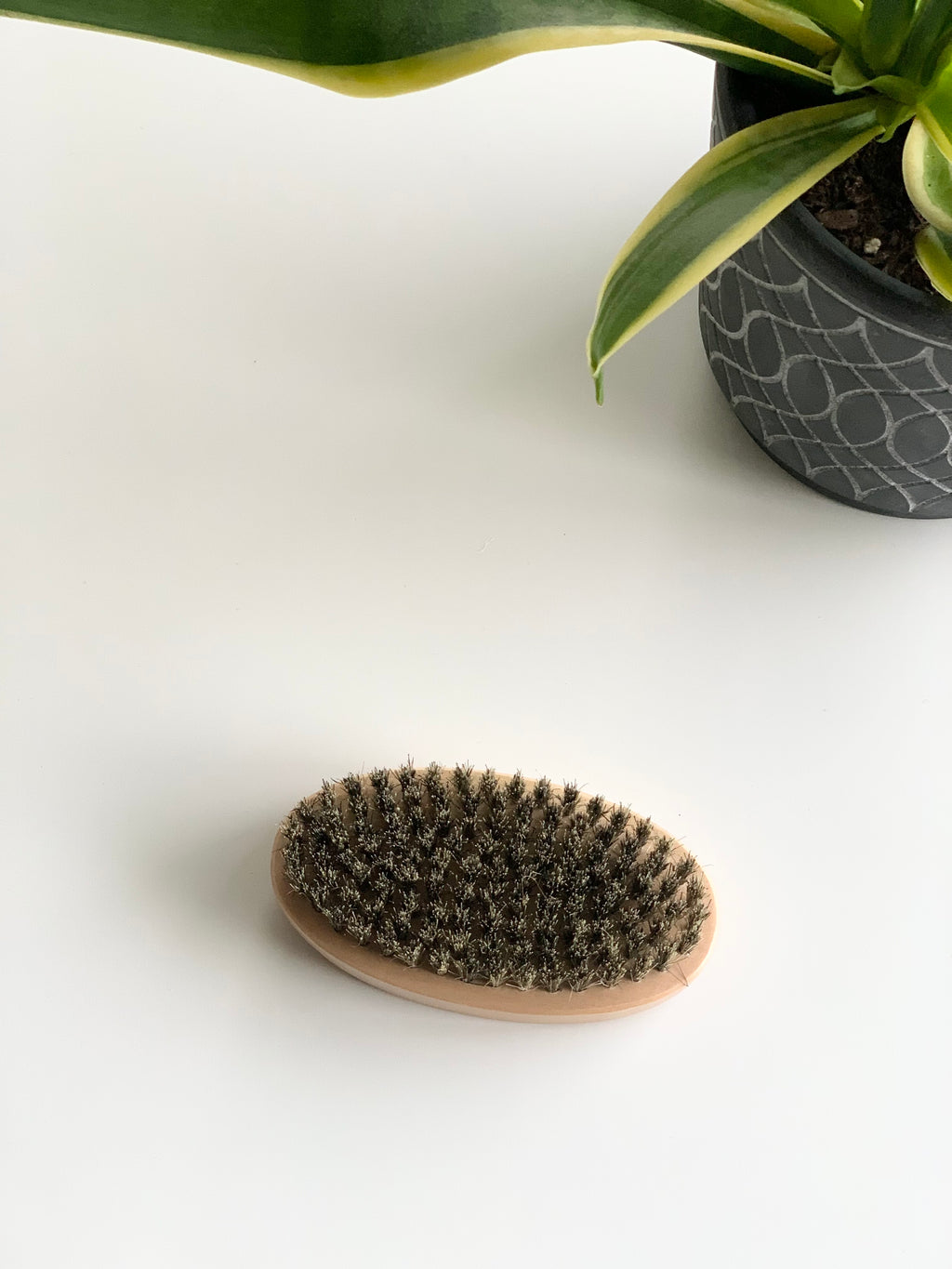 Oval wooden beard brush with dense natural bristles on white surface near green houseplant pot