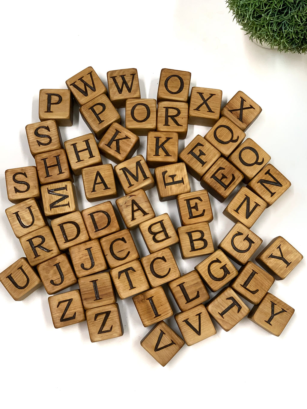 Natural 2-inch wood alphabet blocks with engraved capital letters scattered on white surface with green plant corner