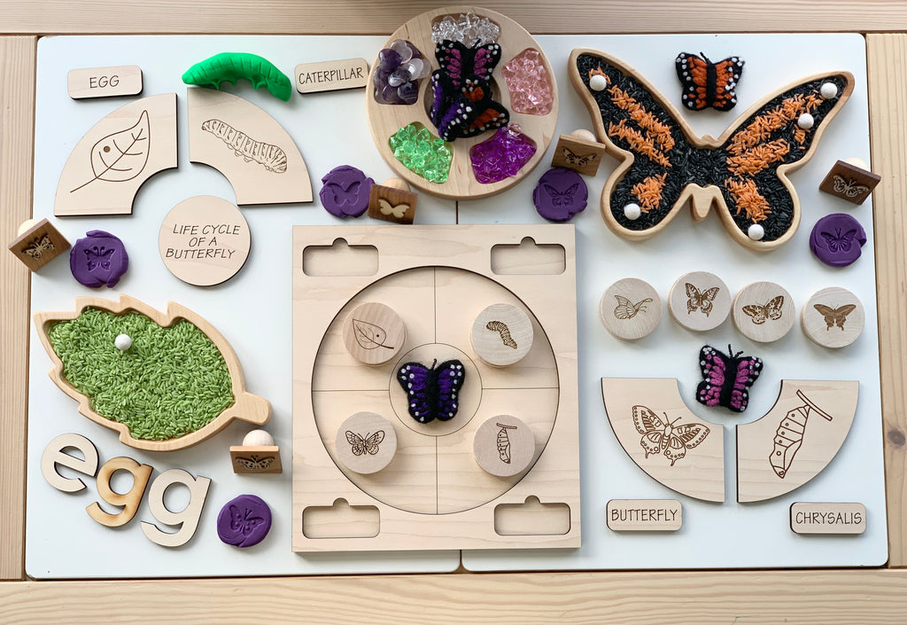 Educational wooden life cycle puzzle showing butterfly stages with labeled pieces and textured sensory elements on wood background