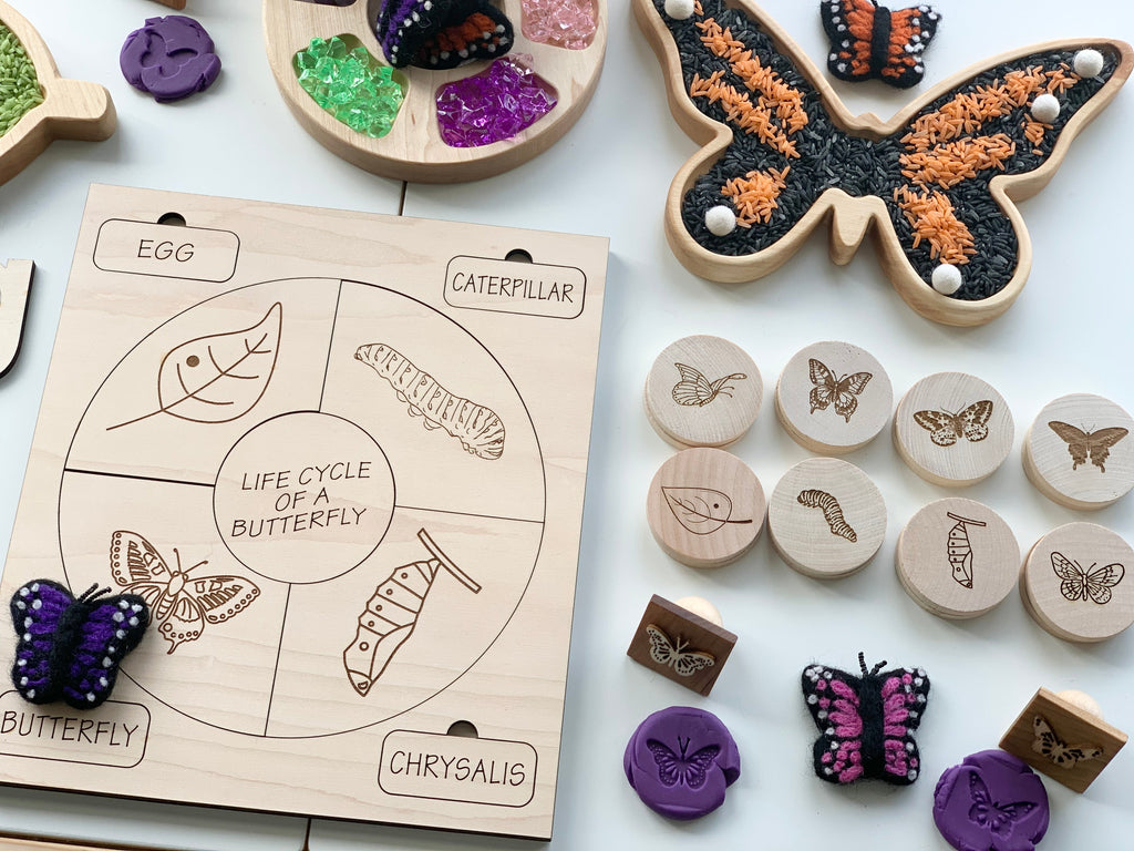 Wooden life cycle puzzle of a butterfly with labeled stages and wooden stamps with butterfly life cycle illustrations