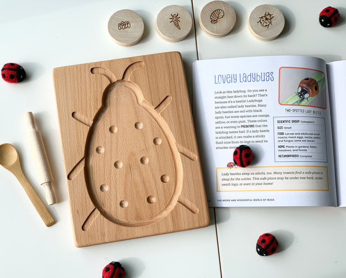 Natural wooden ladybug sensory tray with engraved spots, wooden stampers, mallet, and educational book on white surface