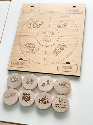 Wooden turtle life cycle memory game with engraved natural wood discs and labeled puzzle board sections on white surface